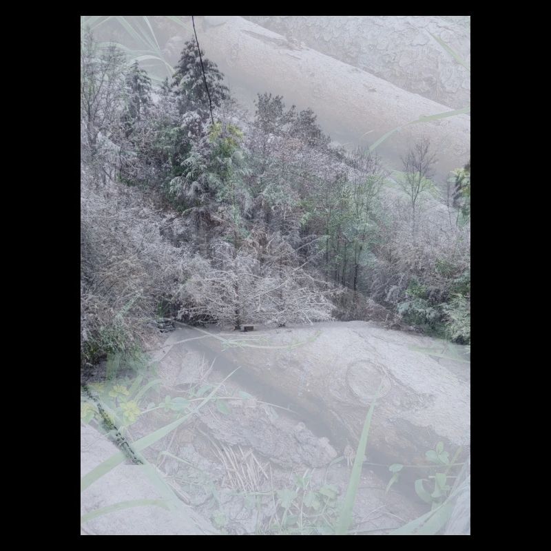 Schnee Landschaft auf Baumstämmen
