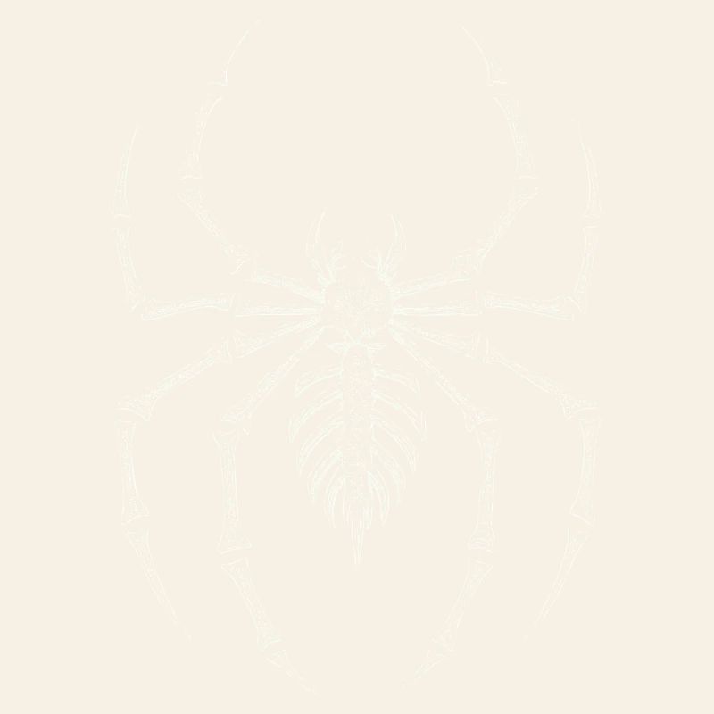 Gothic Skeleton Spider 90's