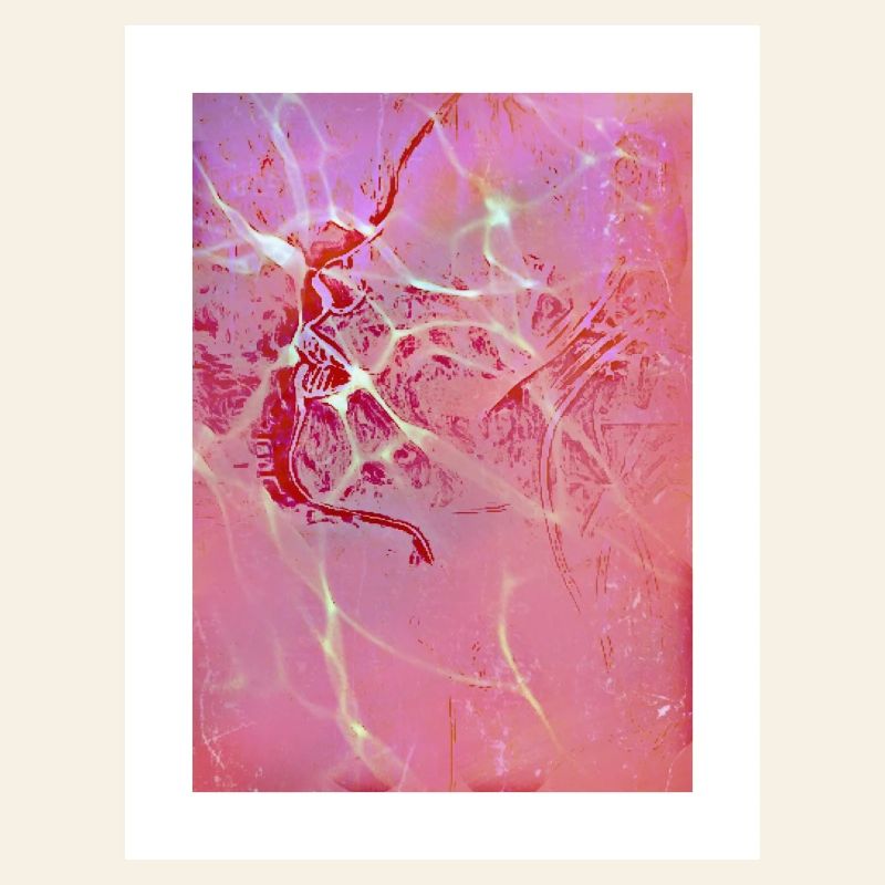 Abstract Pink Reflections