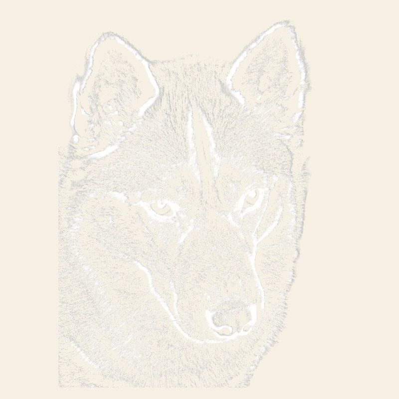 Wolf View Line Drawing Print Design Husky