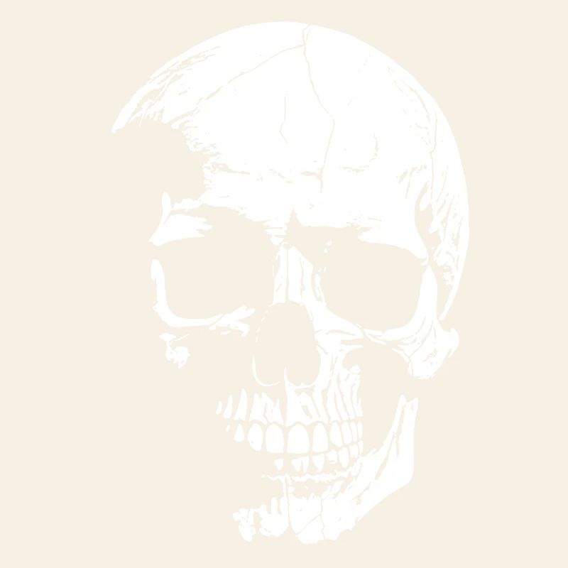 Skull High-Contrast Graphics
