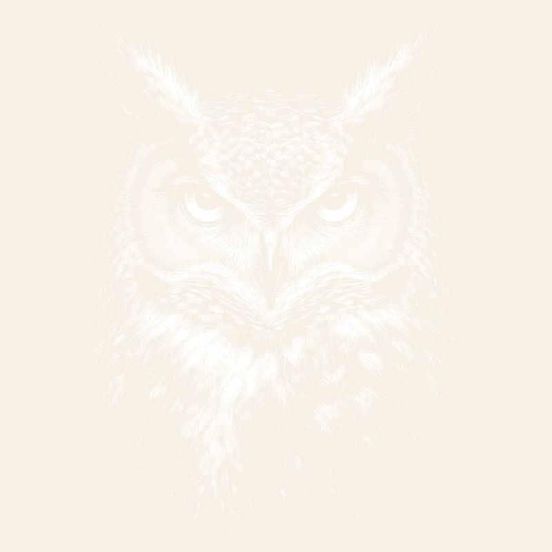 Eagle owl