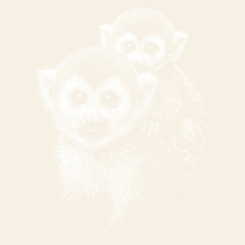 Squirrel monkey
