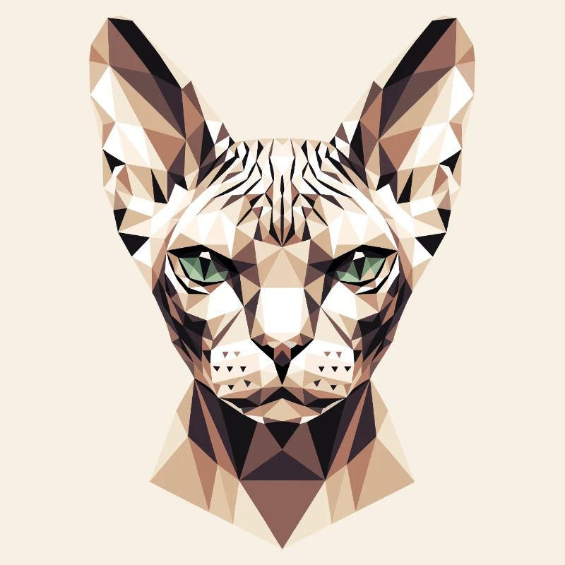 Sphynx Cat Sphynx Cat Canadian Cat Cute Sphinx