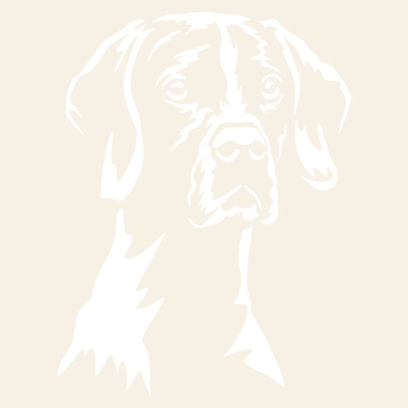 English Pointer « Black Edition »
