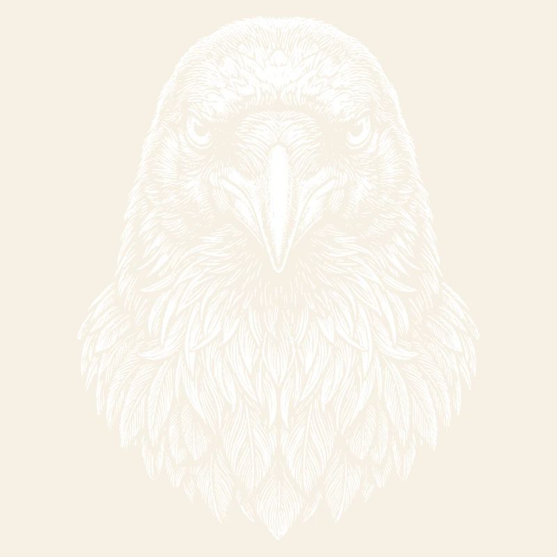 Aviator Eagle Head Line Art