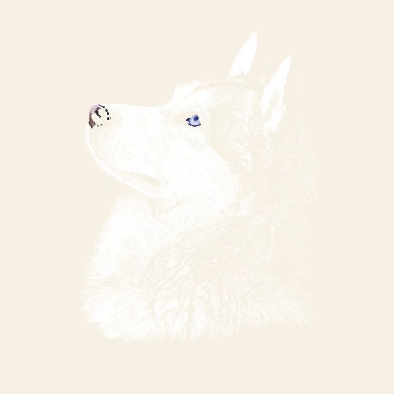Husky
