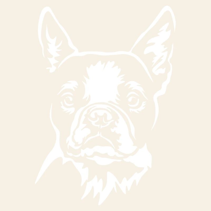 Boston Terrier Kopf "Black Edition"