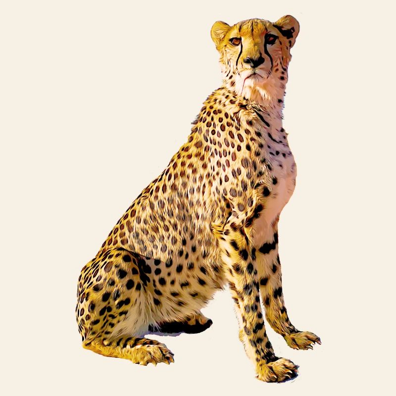 Portrait de guépard Taches dorées