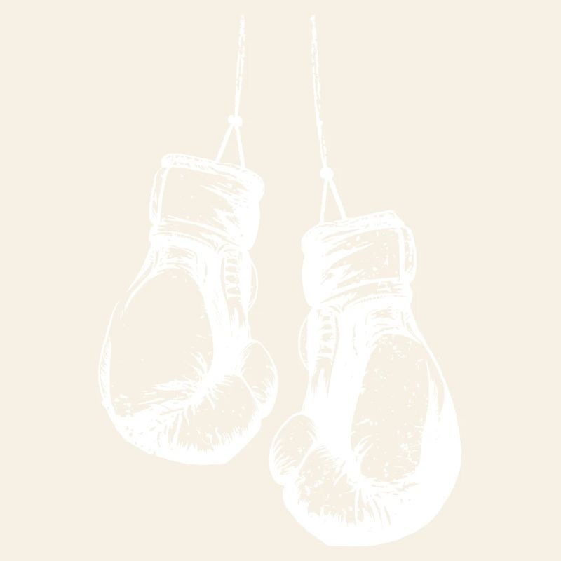 Hanging boxing gloves in white