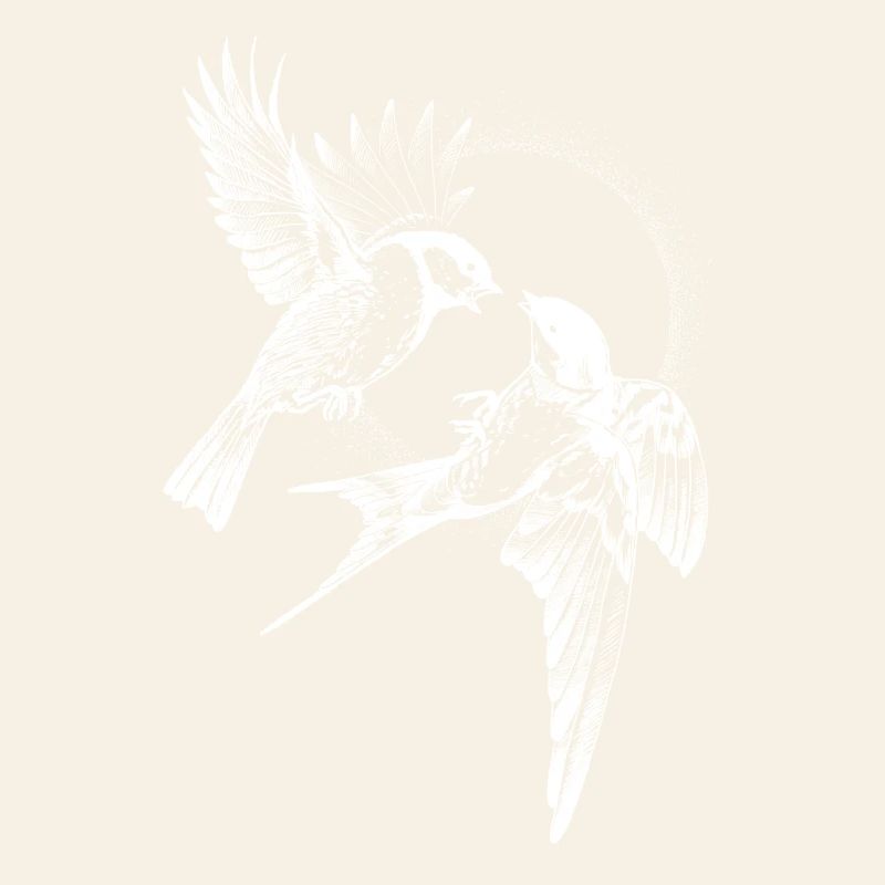 Inversion de combat d’oiseaux