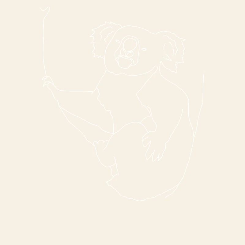 Koala lineart