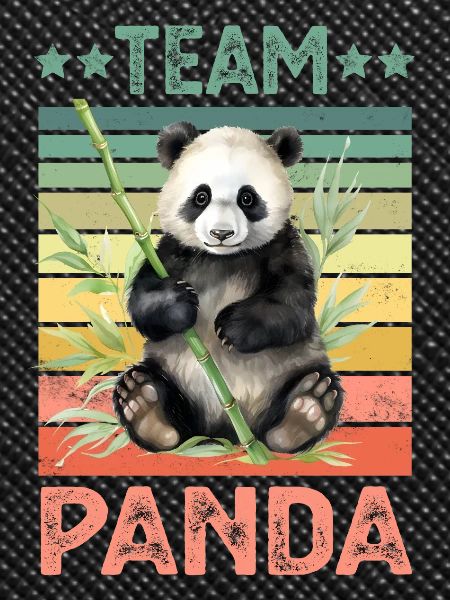 Panda Panda Ours