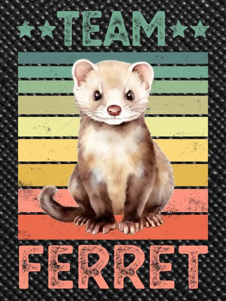 Frettchen