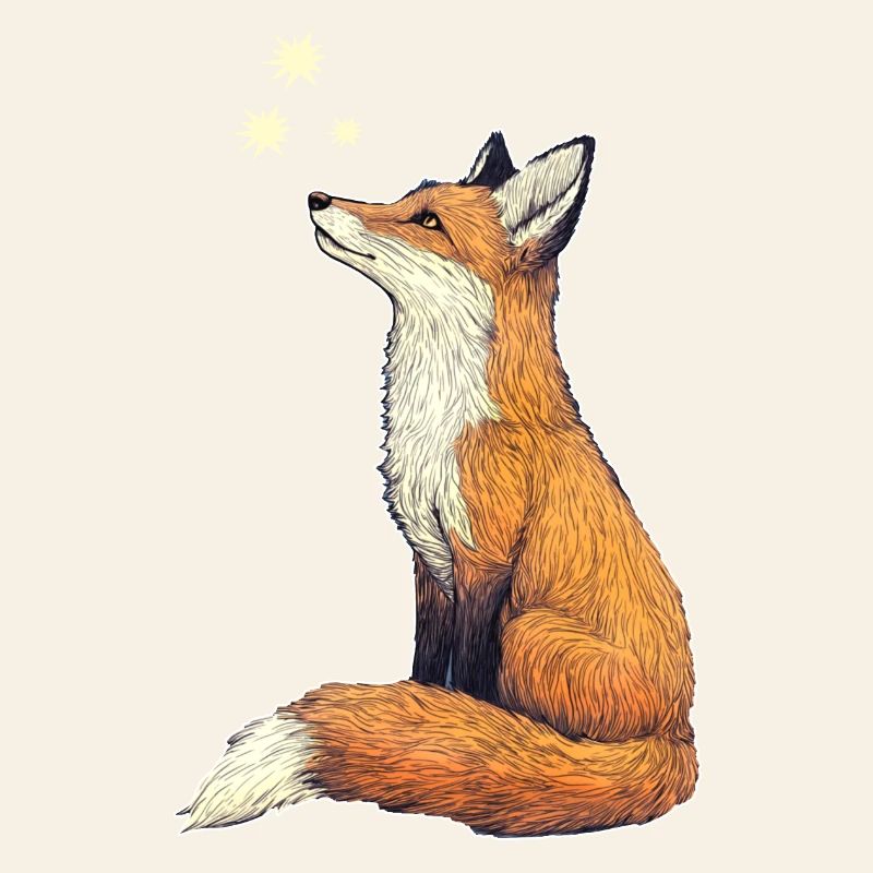 Fox with stars