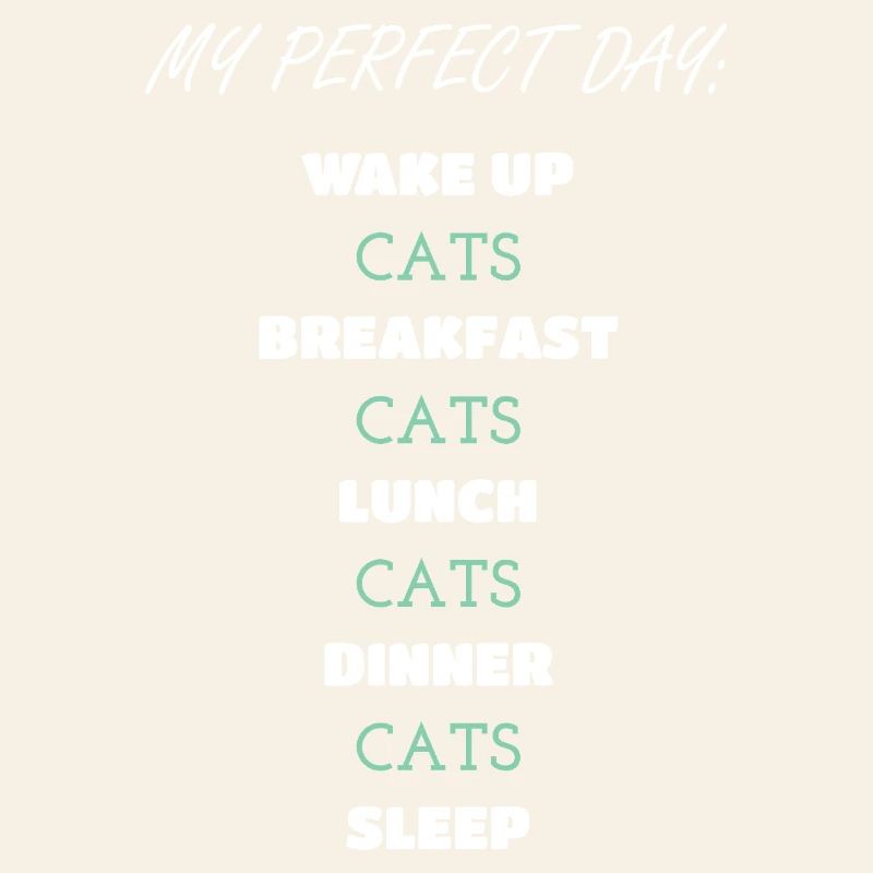 Whimsical Cat Daily Routine Design
