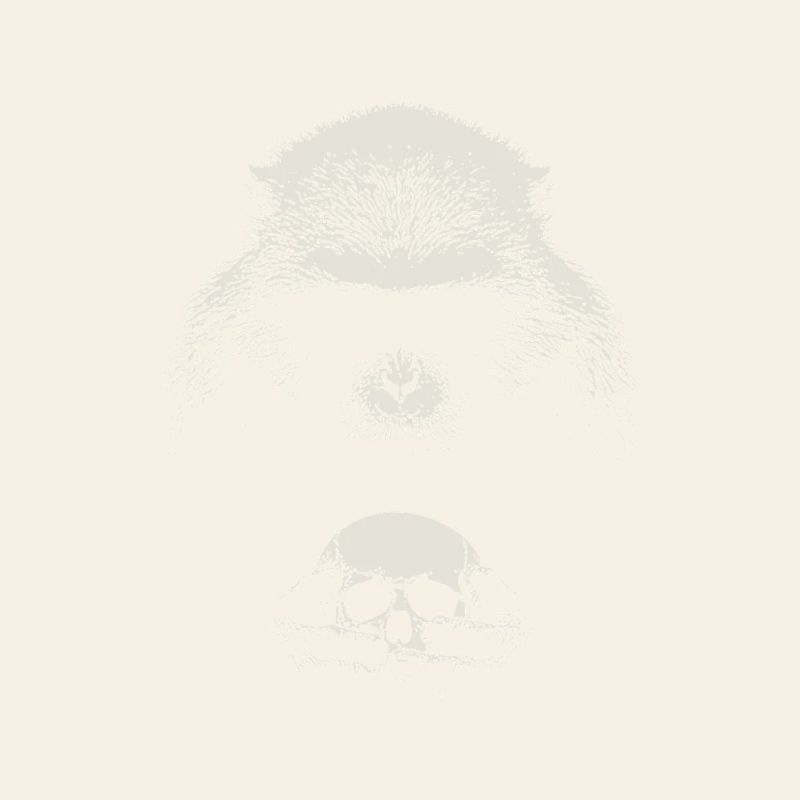 Shakespeare's monkey