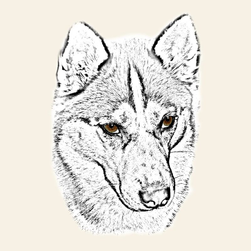 Wolfskopf Line Study