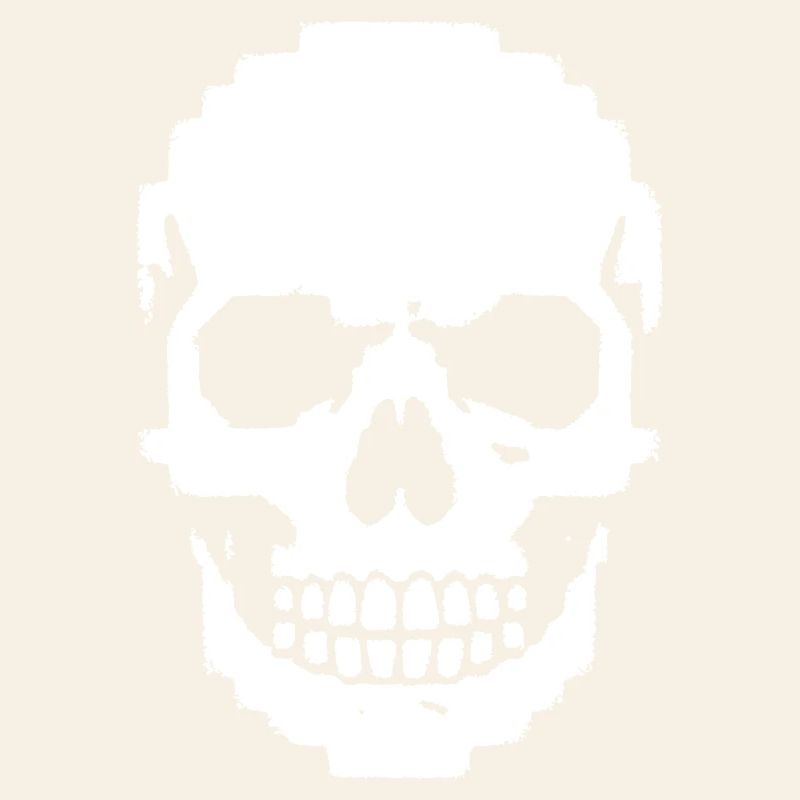 Crâne Pixel Crâne 8-Bits