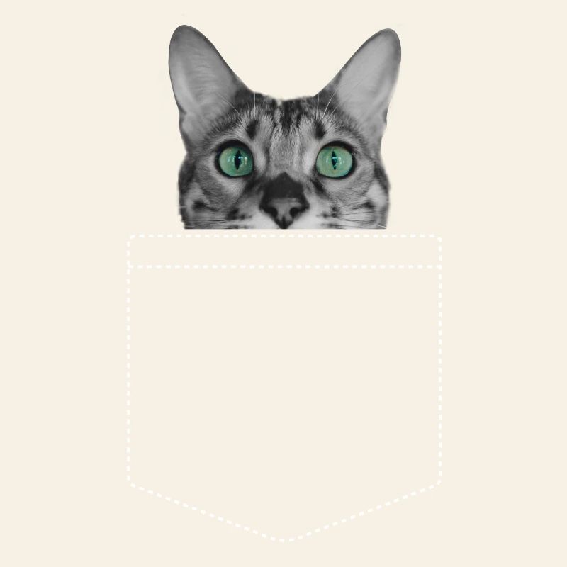 Chat Chats