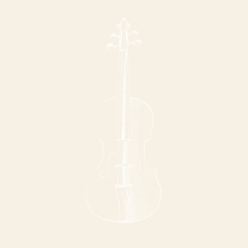 violin