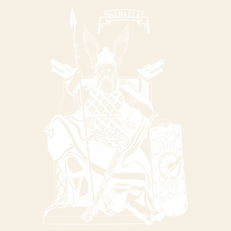 Odin on throne white
