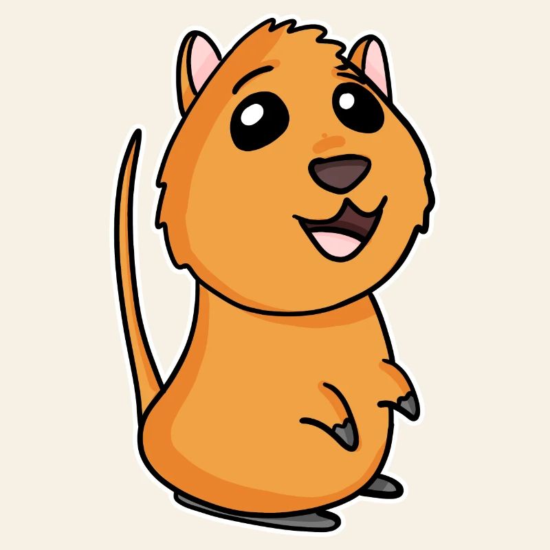 Quokka