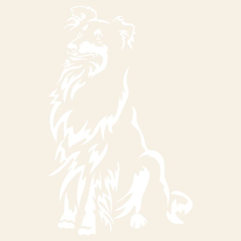 Collie "Black Edition"