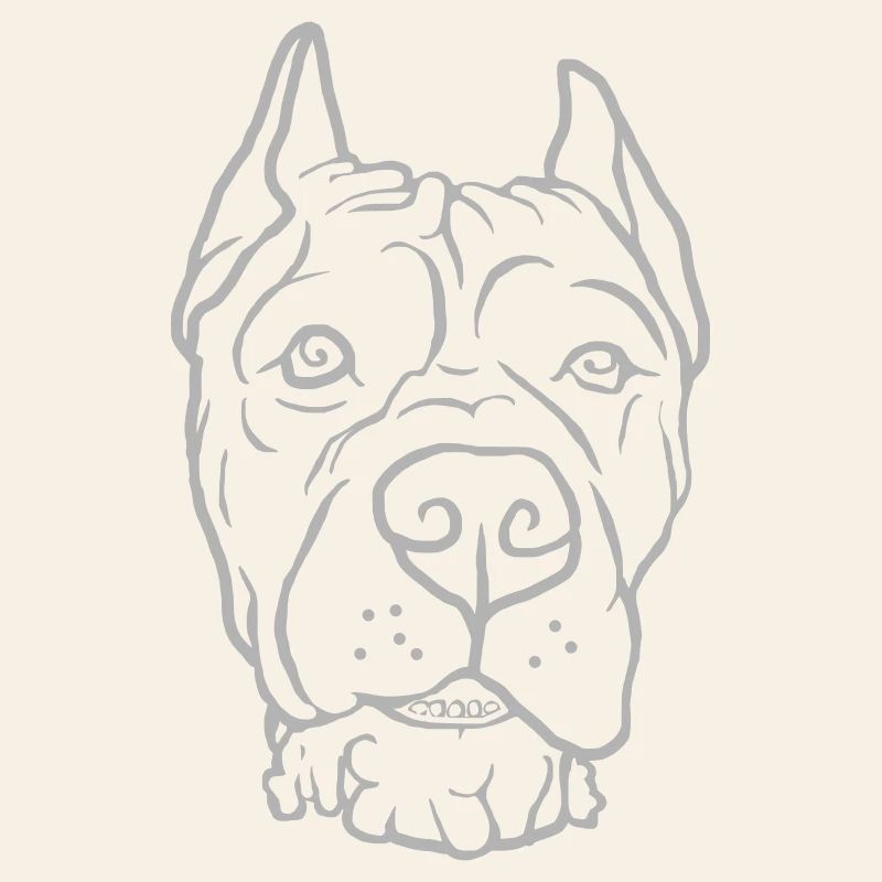 Cane Corso Head