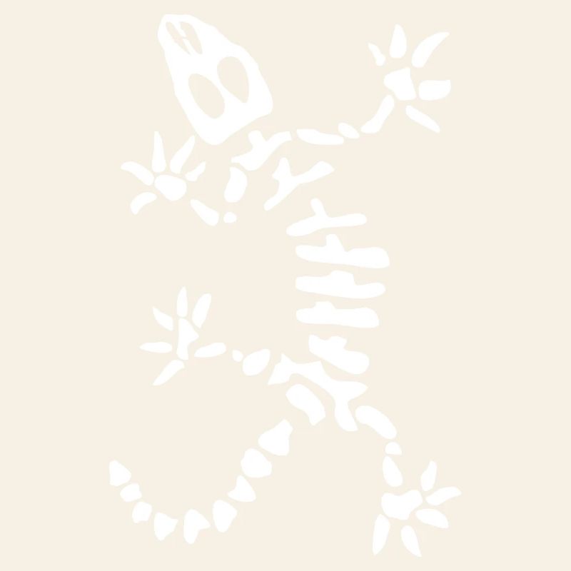 Gecko Skeleton: Lizard, Reptile & Bones
