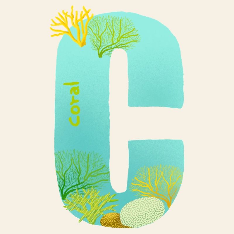 Récif de corail C lettre Design bleu vert Turquoise