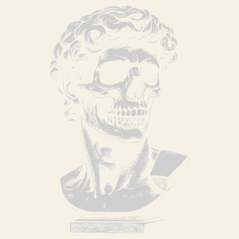 David Michelangelo Skull Bust Artwork