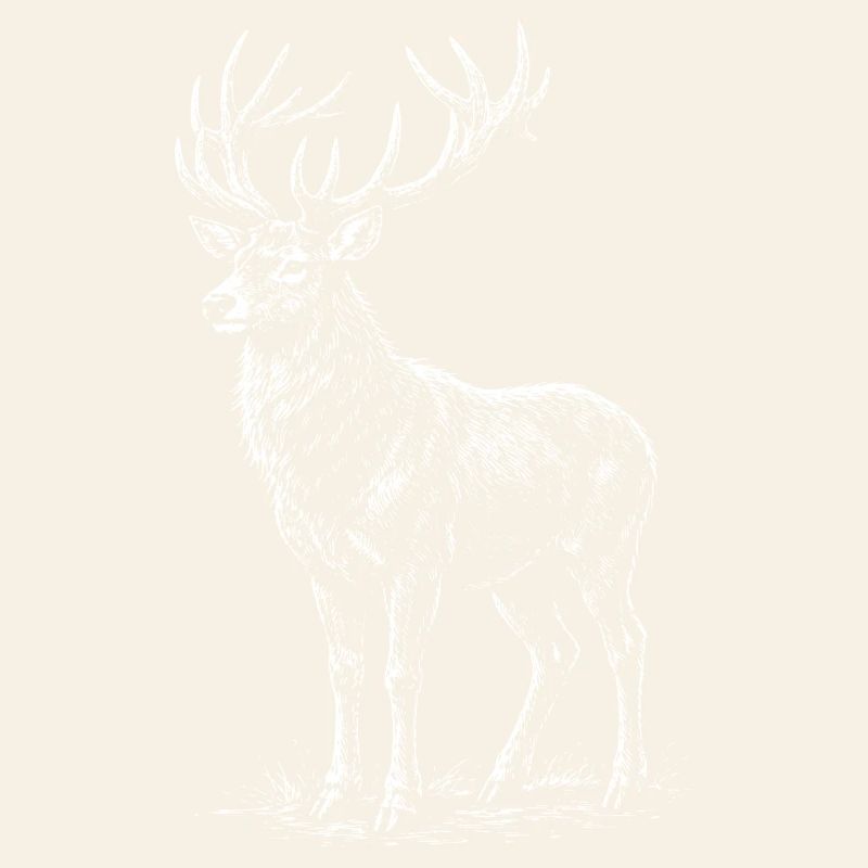 Silhouette de cerf blanc avec bois