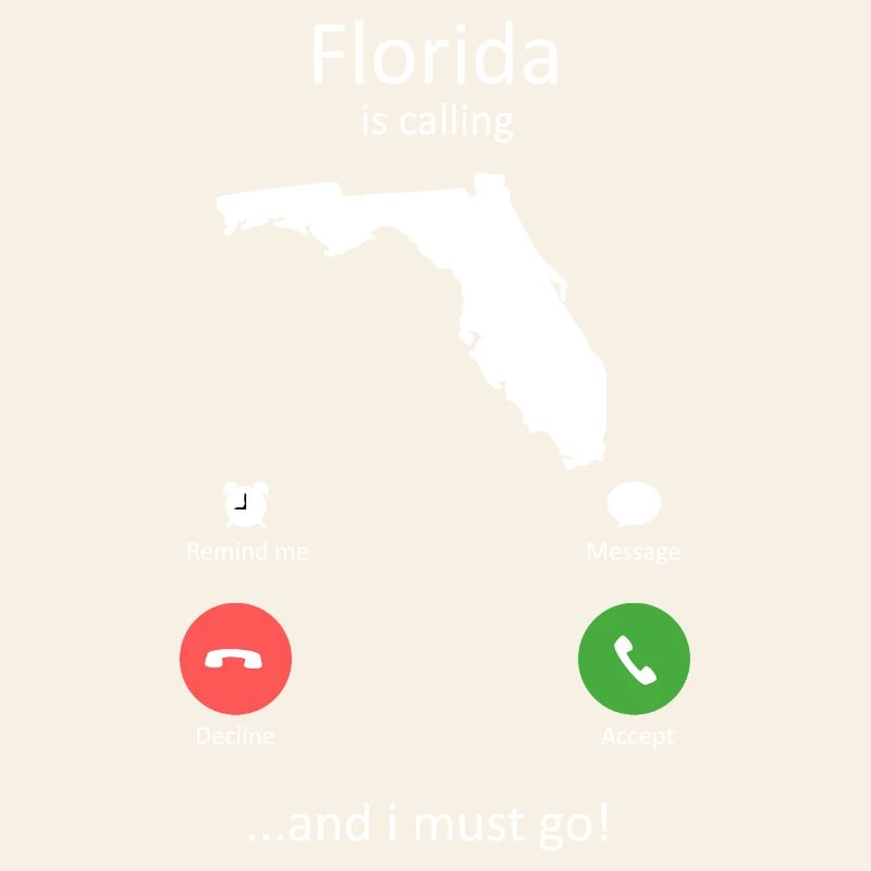 Interface de Floride et Interface I’Must Go