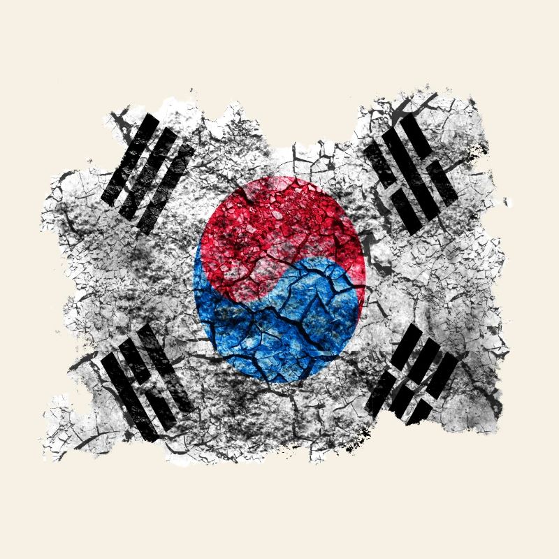 Corée (Sud) Drapeau Vintage