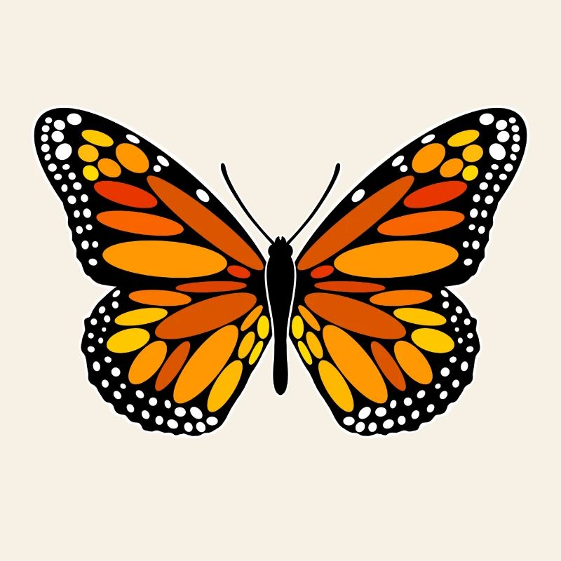 Papillon monarque