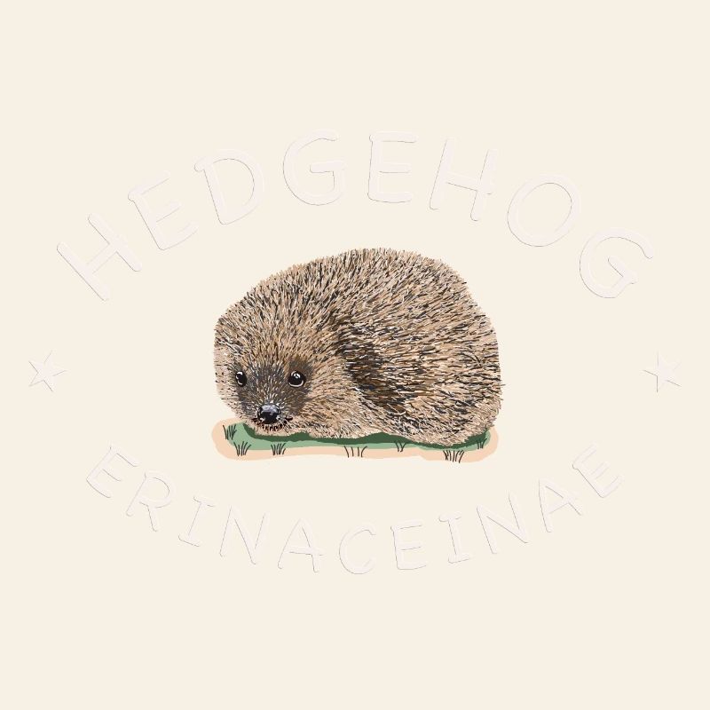 Echter Igel, wissenschaftlicher Name, Englisch