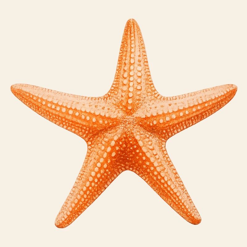 Conception de la plage Orange Starfish