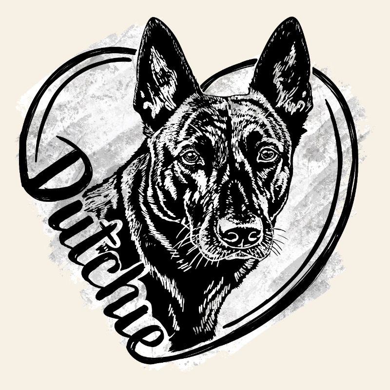 Dutch Shepherd -Dutchie 