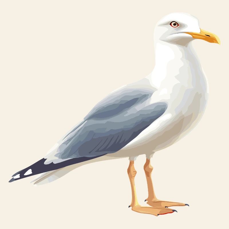 Coastal Clouds Seagull