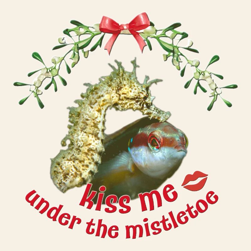 Baiser de gui – Salutations de Noël en mer