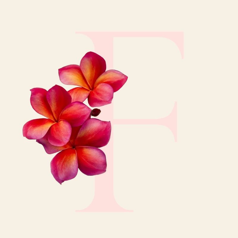 Fleur tropicale florale Lettre E