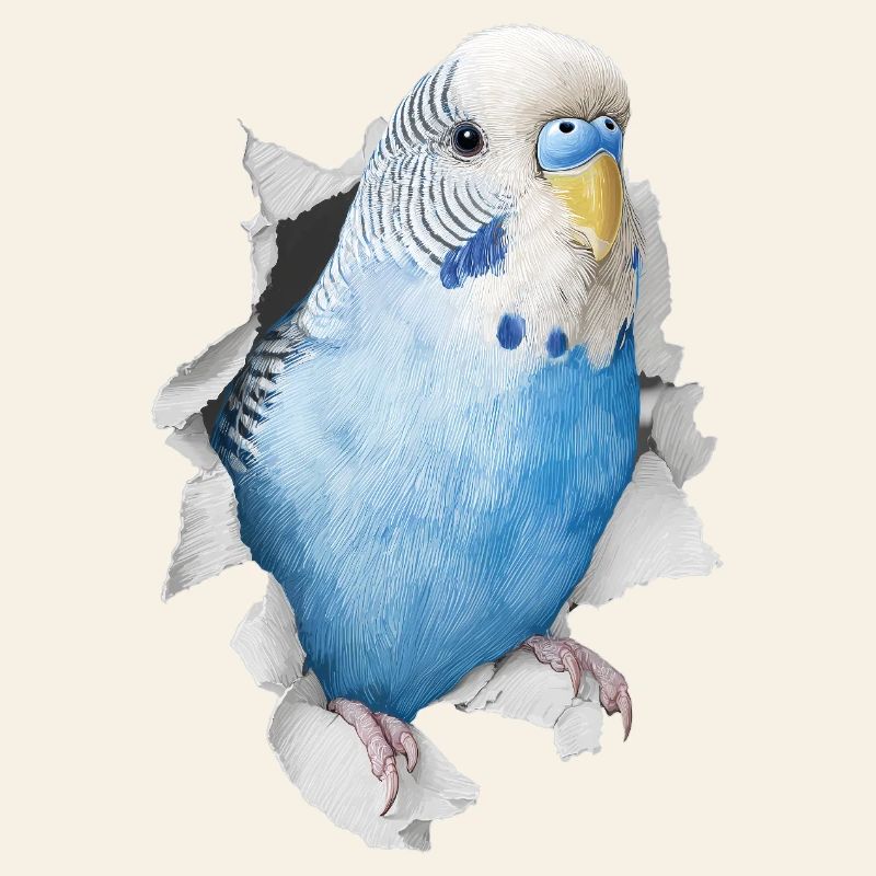 Budgerigar