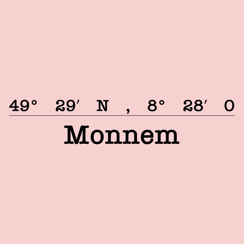 Coordonnées Mannheim Monnem