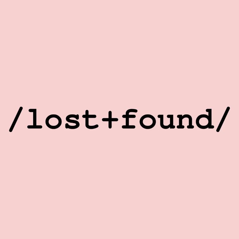 Lost+Found - /lost+found/ folder