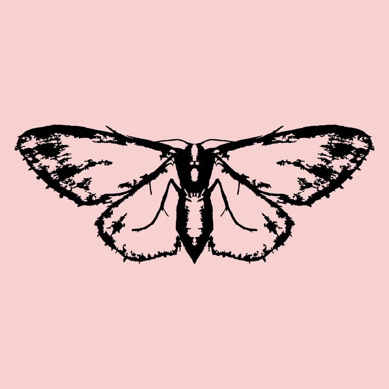 Moth / Butterfly / Moth