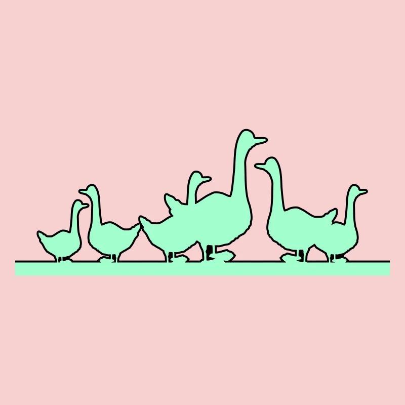 Canards Oies