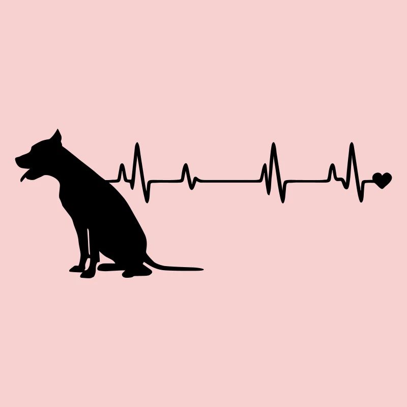 Chien