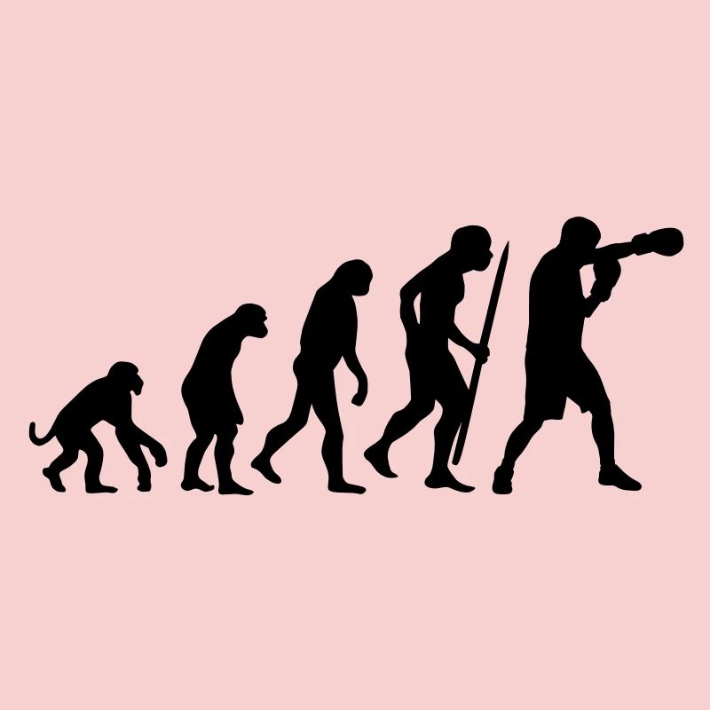 Evolution de la boxe