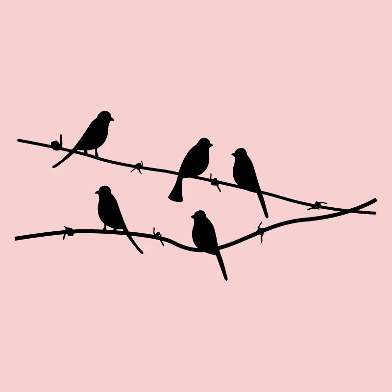 birds